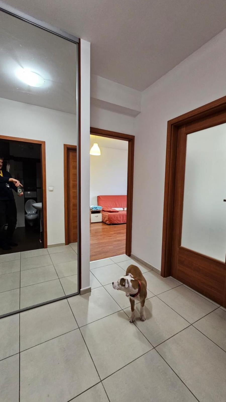 Apartament Lipinskiego Cracovia Exterior foto